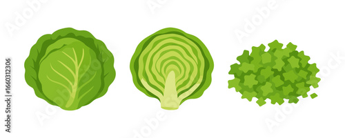 Flat green vegetables set featuring cabbage, lettuce, kale, and spinach top views