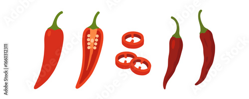 Colorful flat style chili peppers with sliced and whole variants