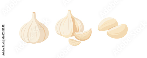 Garlic in various forms: whole, cloves, peeled, and diced on a white background