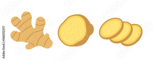 Colorful ginger root and ground spice illustration for culinary inspiration