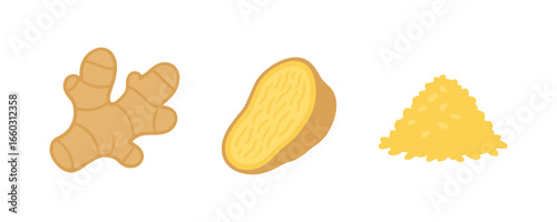 Flat icon set of fresh ginger root and turmeric spice elements