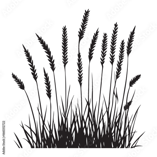 Natural Grass Silhouette Vector Graphic