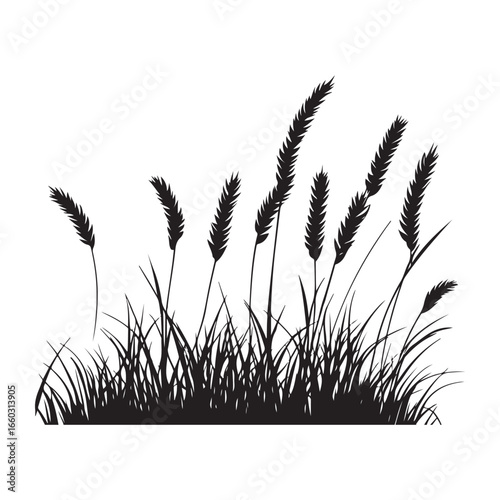 Natural Grass Silhouette Vector Graphic