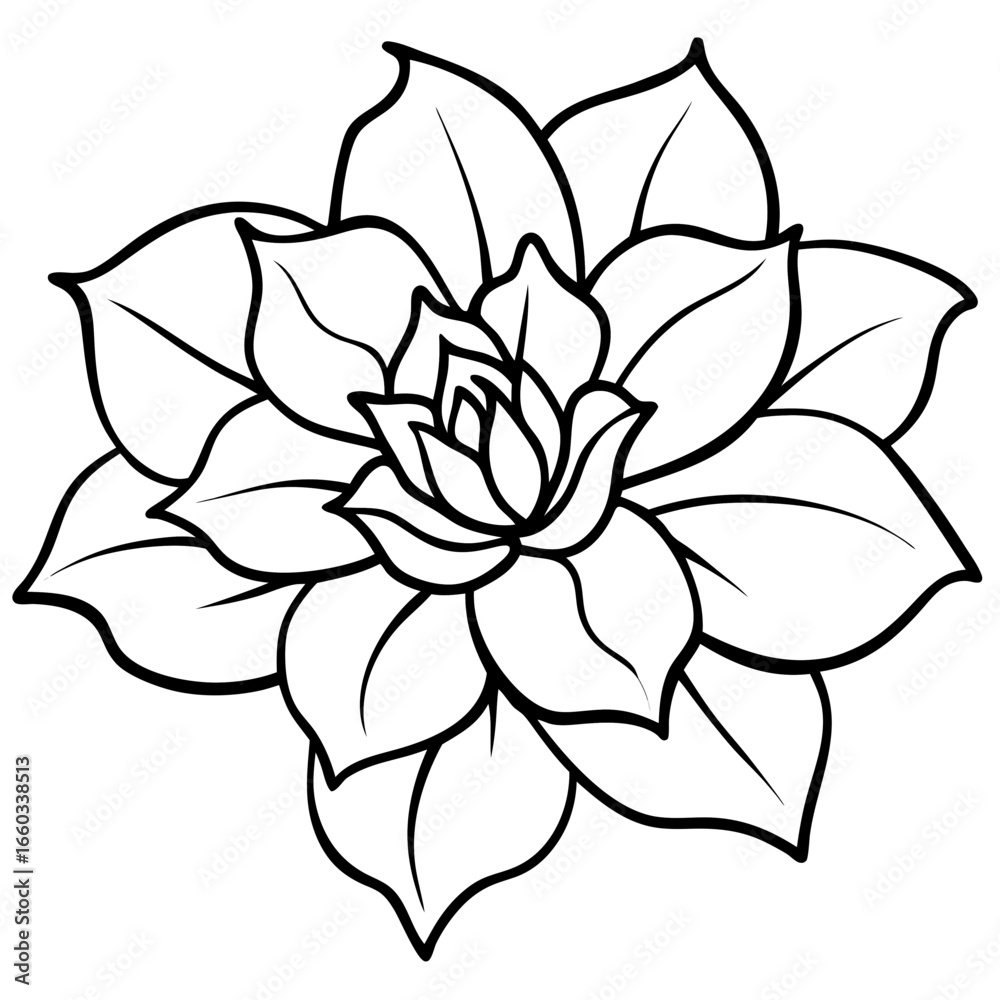 Fototapeta premium Soft Bloom Vector