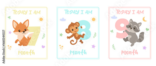 Today i am 7 8 9 months baby milestone cards with cute fox monkey raccoon animals. Baby age monthly cards. Nursery wall art for newborn photo props