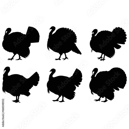 Silhouettes of six turkeys in black color