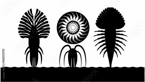 Illustration of three stylized trilobite fossils in black and white on a dark ground surface area | editable eps vectors silhouette