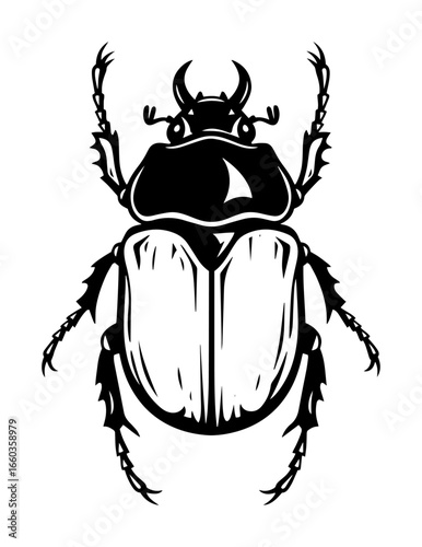 Sacred Scarab Beetle – Vintage Engraved Egyptian Vector