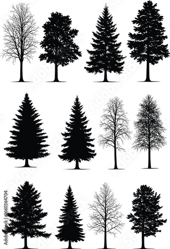 Different types of trees: Set of Trees and Conifers, Deciduous and Evergreen Trees, Detailed Silhouettes, Black and White Flat Vector Illustrations for Forest and Nature.