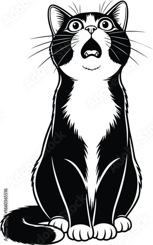 Surprised and wide-eyed black and white tuxedo cat sitting and looking up with its mouth open, vector illustration on white background.