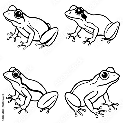 Four outlined frogs in various poses with distinct markings and features on a white background view