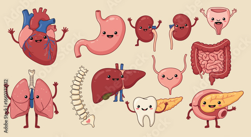Adorable Human Anatomy Illustrations Featuring A Lively Collection Of Organs And Body Parts Expressing Joy And Enthusiasm Through Whimsical Designs and Playful Poses