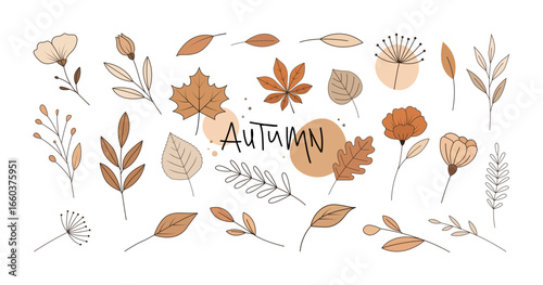 Autumn Botanical Clipart with Leaves and Flowers, vector set. Hand-drawn fall leaves, flowers, and branches in warm autumn tones with "Autumn" text in modern style. Vector graphic collection