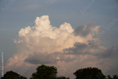 Fototapet A large, dense cumulonimbus cloud formation also known as a thunderhead