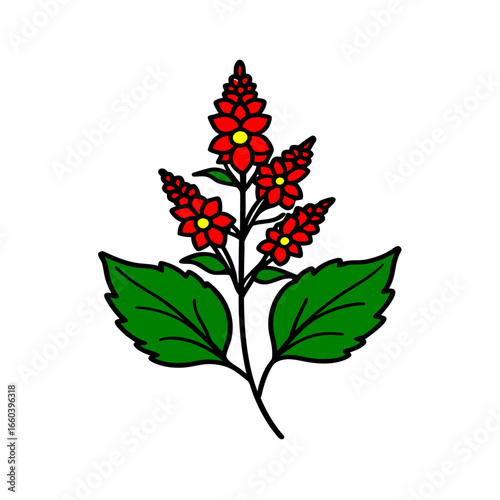 astilbe flower vector icon