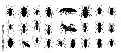 Collection of Black Silhouettes of Various Insects on White Background