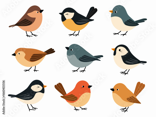 Wild forest birds. Winter wildlife animal, birds chickadee robin cardinal. Isolated wild or garden flat nature nestling illustration