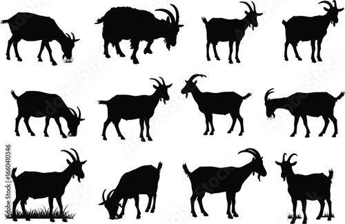 Collection of goat silhouettes in various poses, including grazing, standing, and eating, in black and white vector illustrations, isolated on white background.