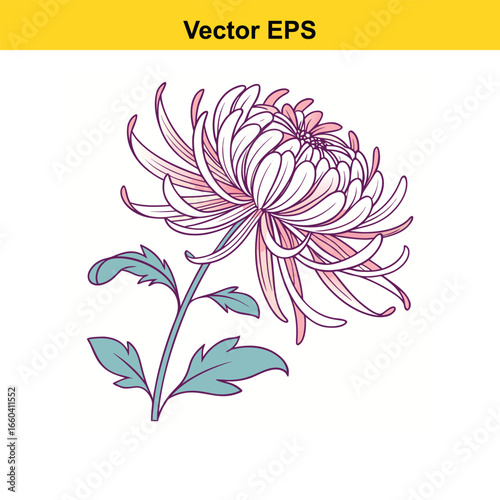 A chrysanthemum flower icon with multiple thin petals 
arranged in a radial pattern.