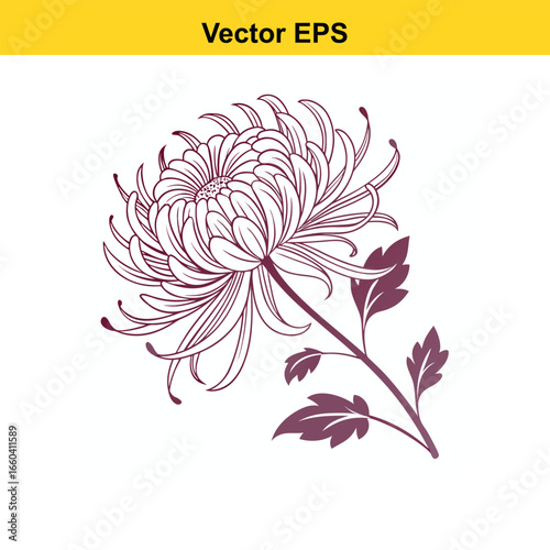 A chrysanthemum flower icon with multiple thin petals 
arranged in a radial pattern.