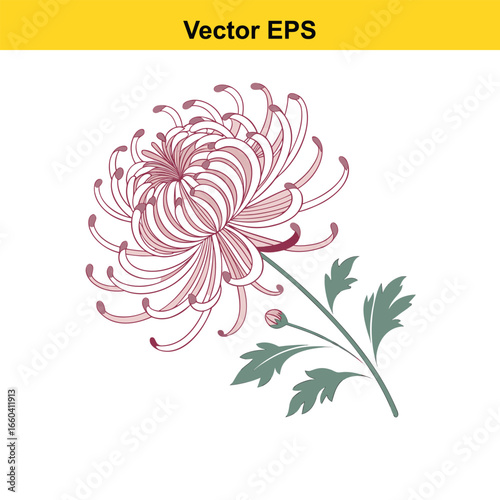 A chrysanthemum flower icon with multiple thin petals 
arranged in a radial pattern.