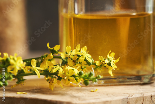 Fresh agrimony flowers with a bottle of herbal tincture in the background