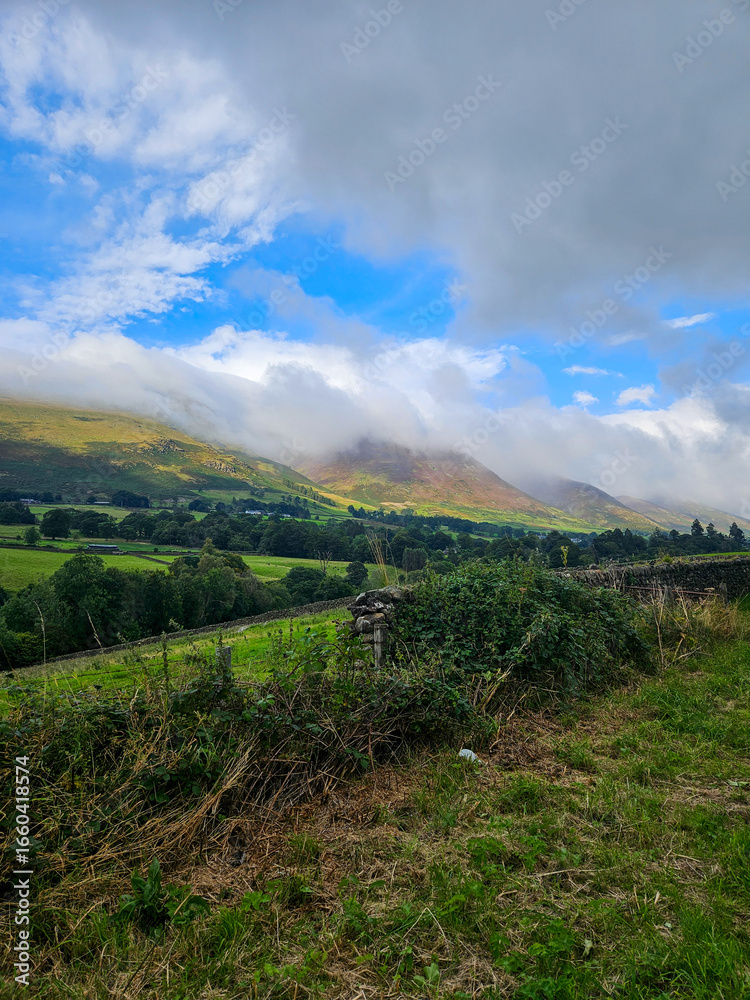 Naklejka premium landscape with clouds