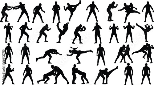 Martial arts silhouette, fighting stance, self defense, combat training, karate kick, boxing punch, martial technique, action pose, sports discipline
