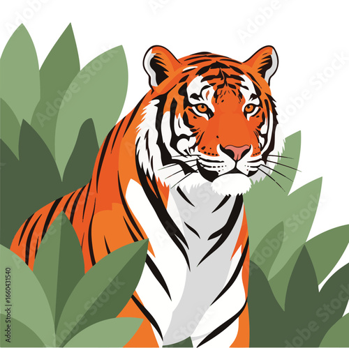 Illustration of a tiger with orange and black stripes, partially hidden behind green foliage, looking forward.