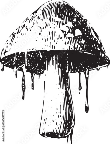 Mushroom with ink sketch style, detailed cap and stem, and dripping texture. Monochrome illustration with vintage linework in a vector format.