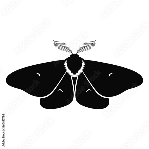 Black moth silhouette with feathery antennae insect white