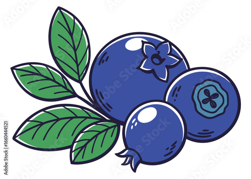 Blueberry flat vector icon set cute bilberry logo, illustration and clipart for design