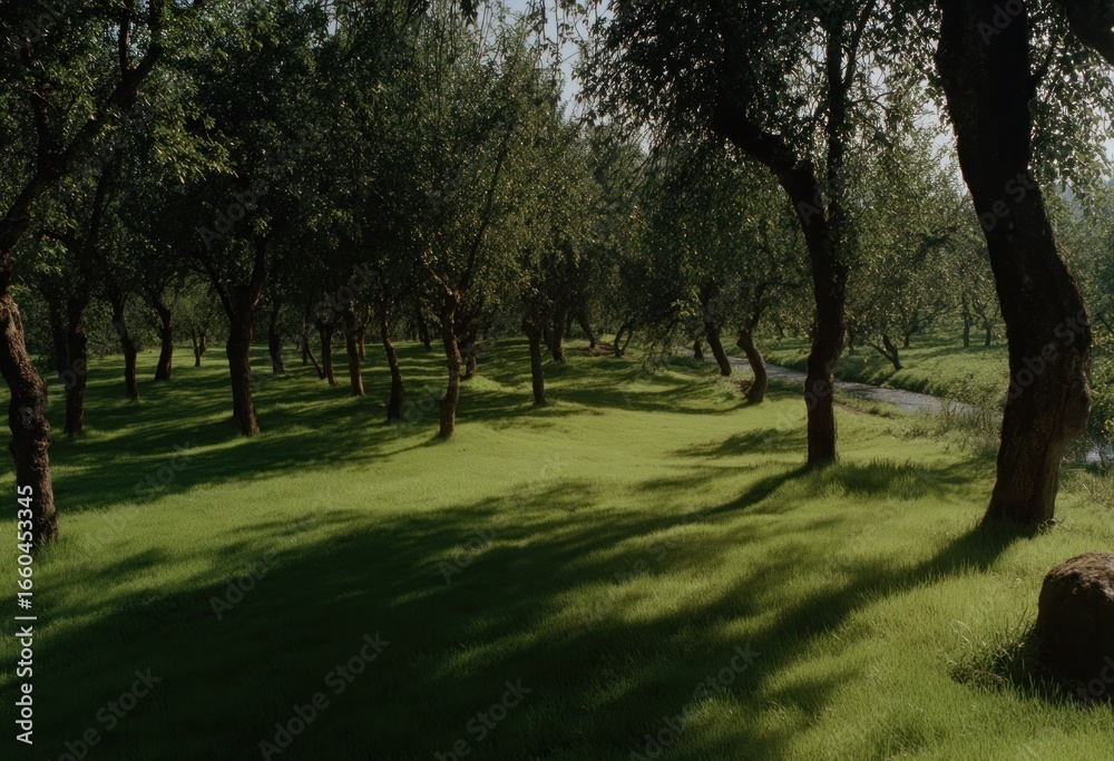 Fototapeta premium Lush green grass beneath a canopy of trees.