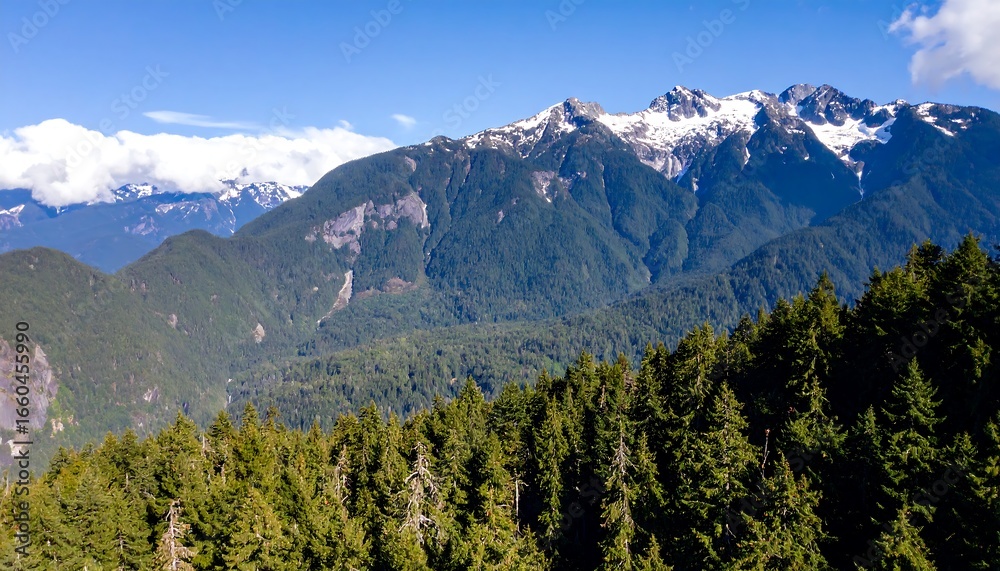Obraz premium A vast panorama of a lush mountain valley, featuring towering snow-capped peaks and dense evergreen forests, showcasing a serene and majestic landscape.