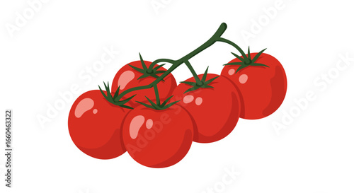 Vibrant red tomatoes on the vine with lush green stems in flat design
