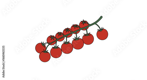 Flat style cherry tomatoes on vine isolated on white background