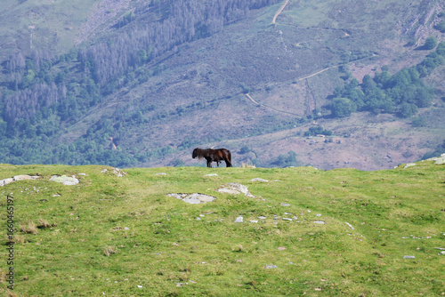 país vasco francés, iparralde, euskadi, pirineos atlánticos