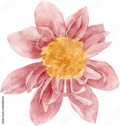 Watercolor Illustration of a Pink Flower