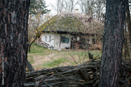 Foto traditional Ukrainian house made of clay under a reed roof in the Poltava region