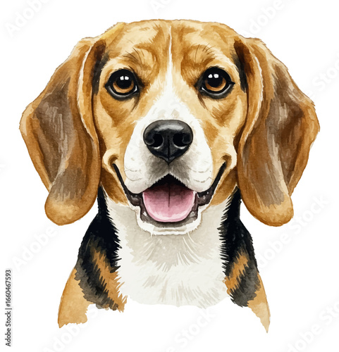 Happy Cute Beagle Dog Head Front View with Smiling Face Isolated Hand Drawn Watercolor Painting Illustration