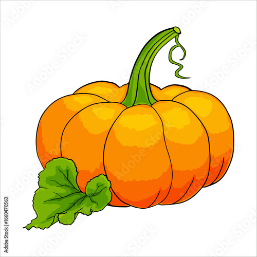 Illustration in vintage style. Collection of design elements. Bright watercolor pumpkin. Ripe autumn vegetable. Multicolor on a white background.