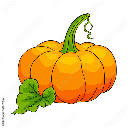 Illustration in vintage style. Collection of design elements. Bright watercolor pumpkin. Ripe autumn vegetable. Multicolor on a white background.