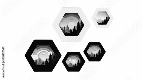 Hexagonal frames displaying layered grayscale forest scenes in varying sizes and orientations art piece silhouette