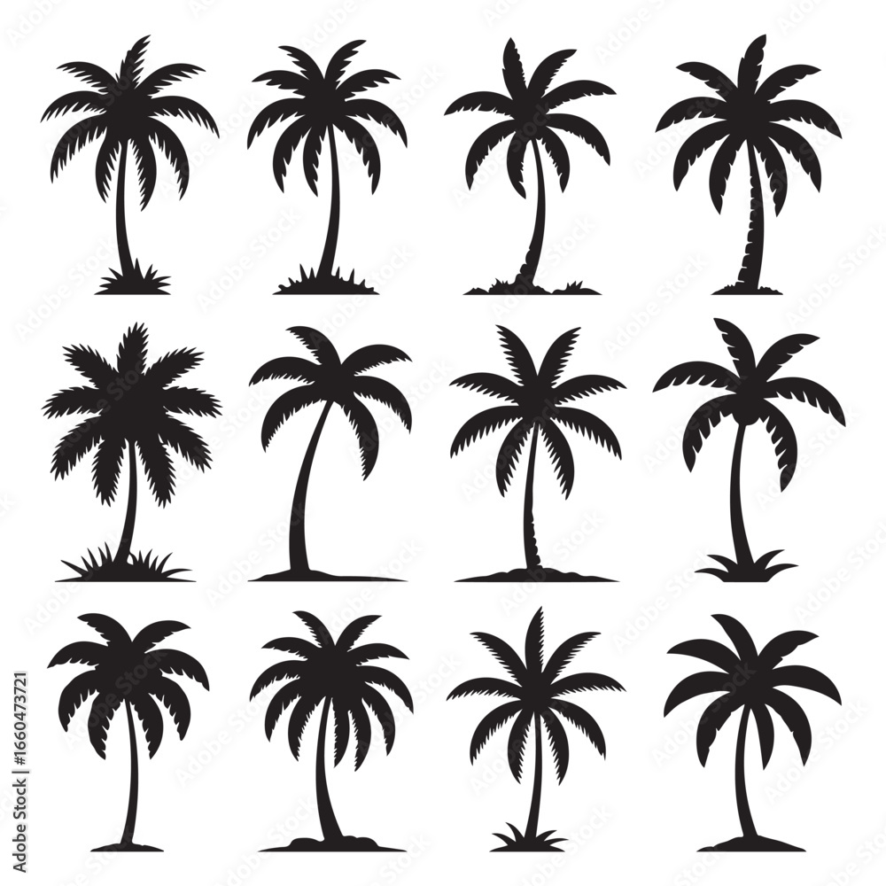 Fototapeta premium Palm tree vector silhouettes