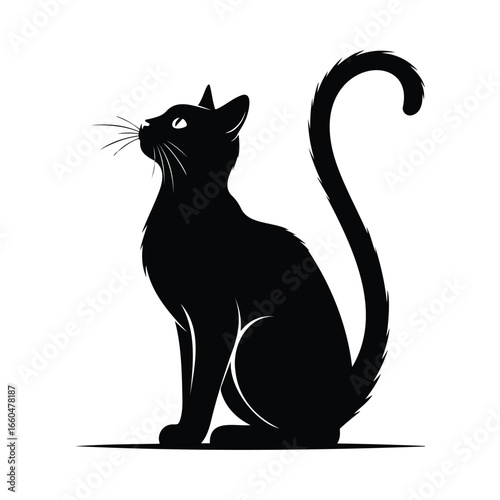 A silhouette of a cute domestic black cat sitting with its tail curled