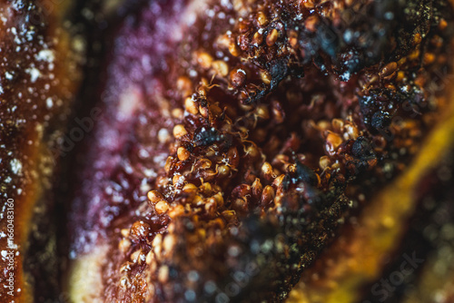 Background with the texture of baked figs, close-up. Macro photography.