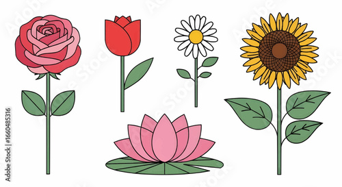 Bright colorful flowers vector illustration set including rose, sunflower, lotus, and daisy with simple flat design style.