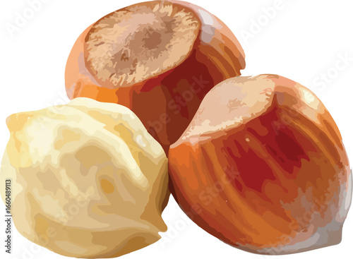 Freshly harvested hazelnuts featuring one shelled nut and two in-shell nuts isolated