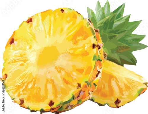 Freshly cut pineapple slices illustration showing detailed texture and vibrant colors on white background