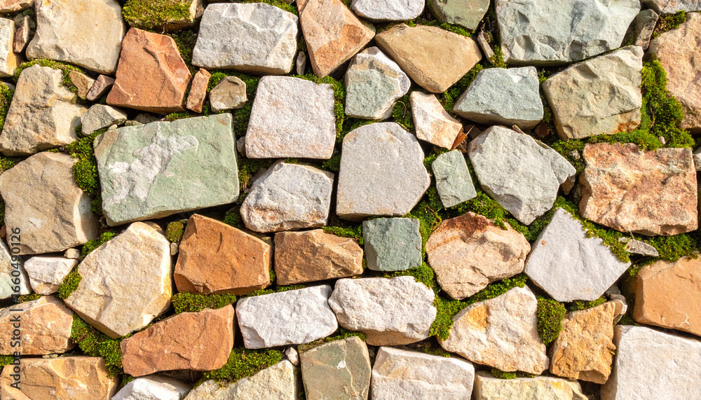 Fototapeta premium A close-up top-down view of a cobblestone pavement, showing a rustic and natural stone texture.